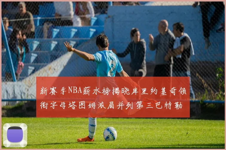 新赛季NBA薪水榜揭晓库里约基奇领衔字母塔图姆浓眉并列第三巴特勒排名第十